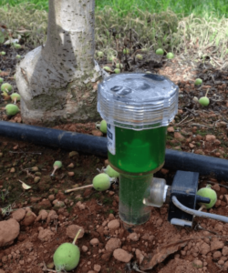 Tensiometer-being-used-to-manage-irrigation-in-an-apple-orchard
